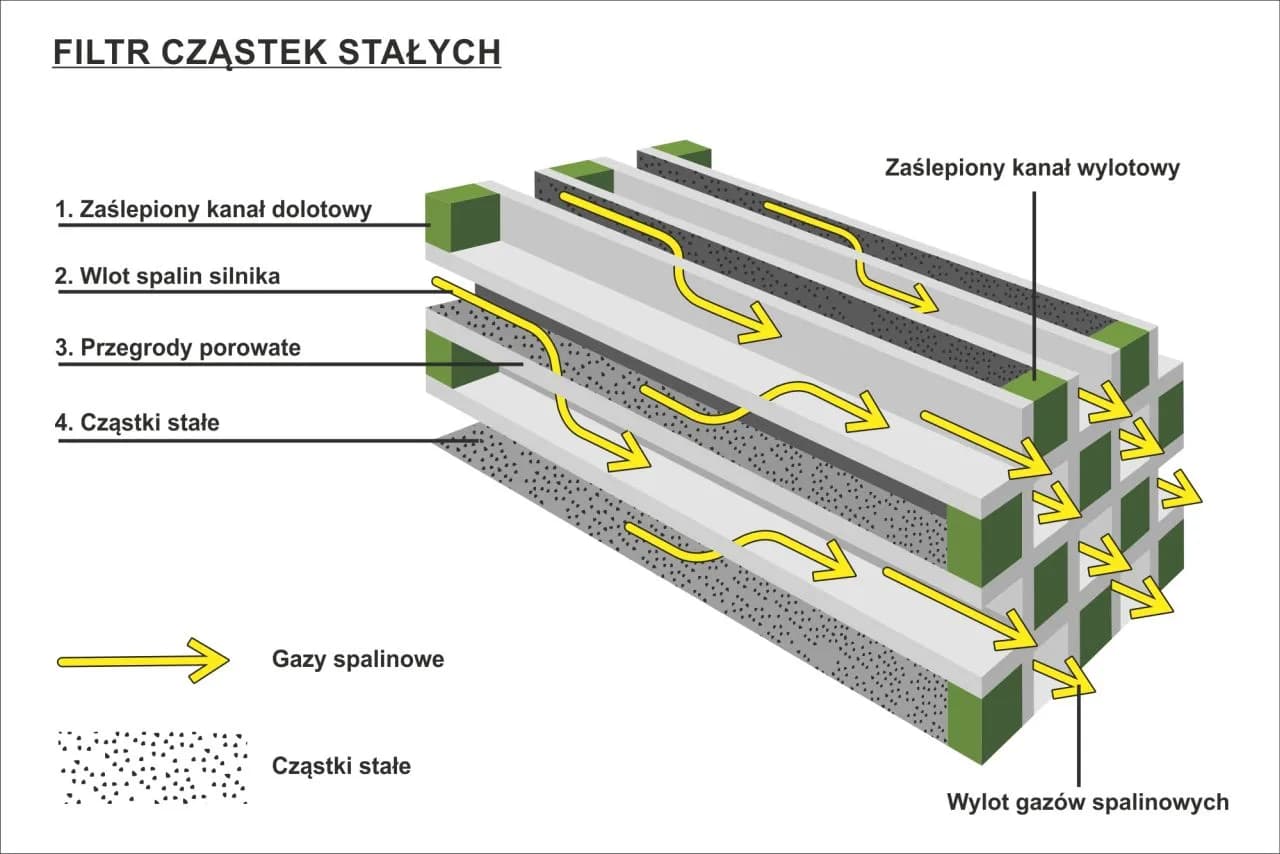 Jak wygląda DPF? Zaskakujące fakty o filtrze cząstek stałych